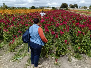 Festival de las Flores en Doxey, tradición única en Tlaxcoapan
