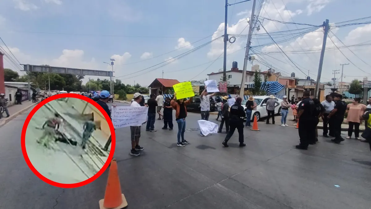 Protesta por maltrato animal; bloquean carretera Tulancingo–Santiago Tulantepec