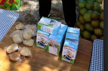 Desayunos Escolares DIF Hidalgo
