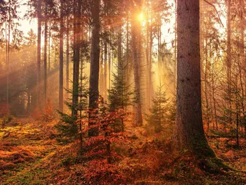 Equinoccio de otoño 2025 en México: fecha, hora y cómo observarlo