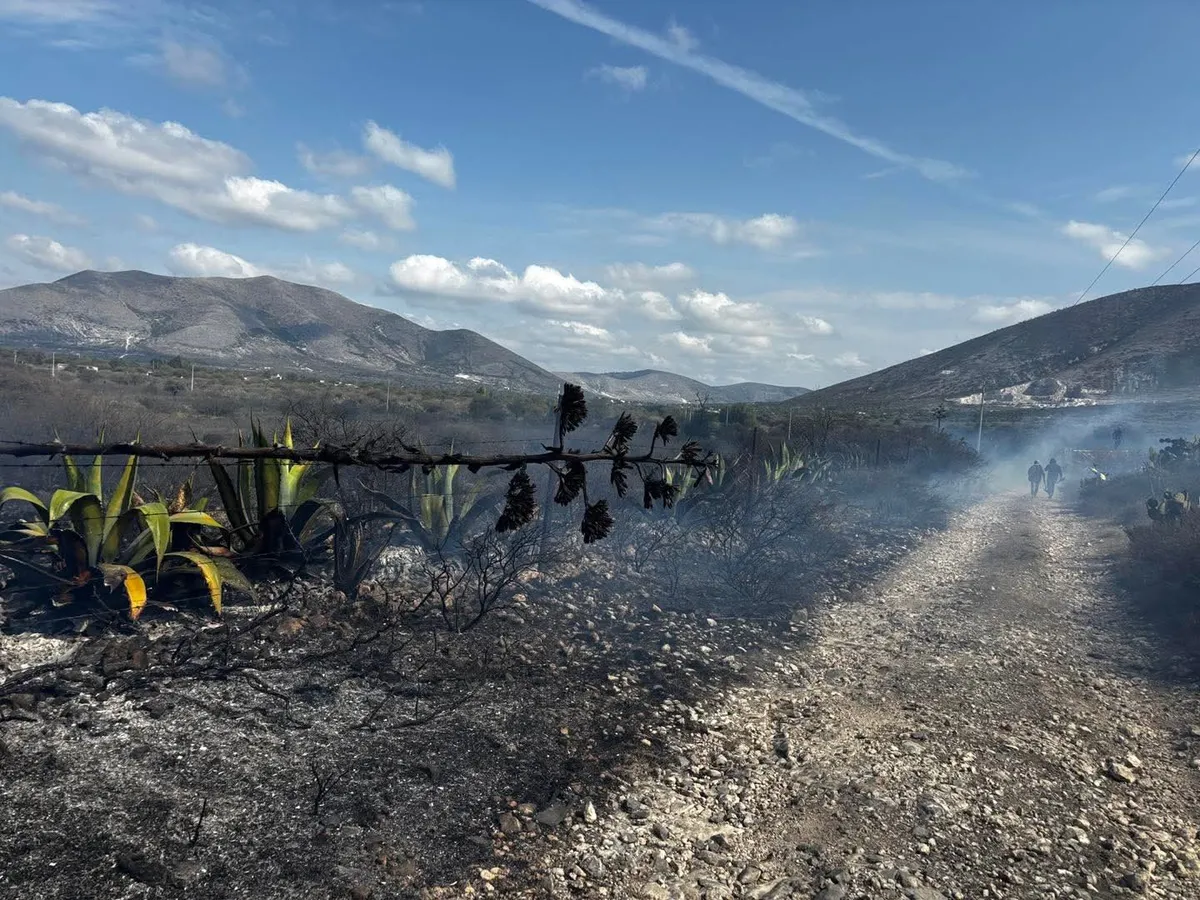 Incendio en pastizales en Cardonal