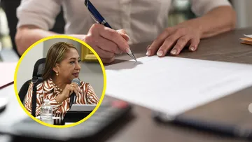 Diputada del PVEM