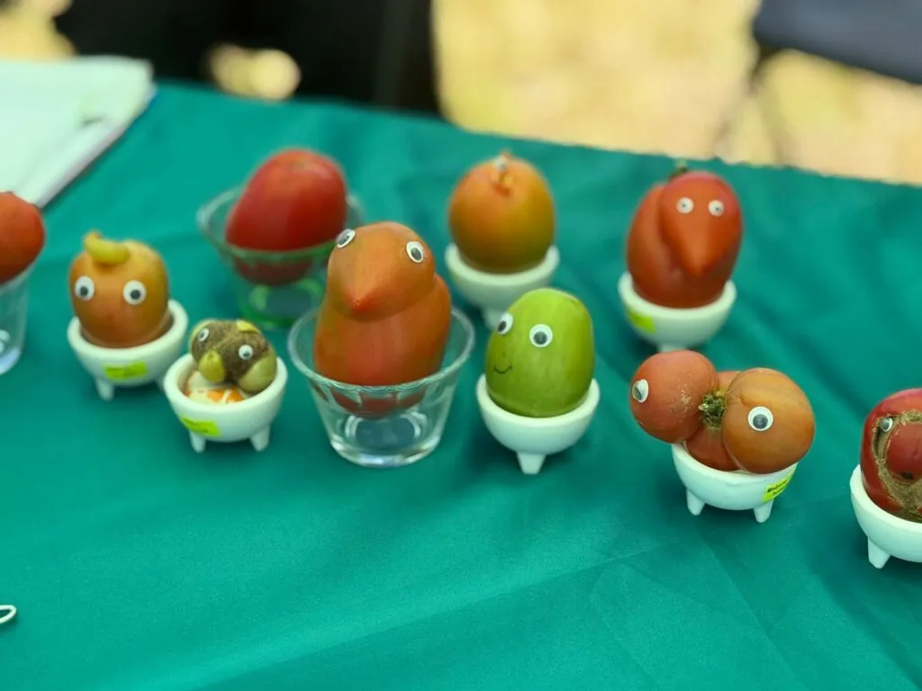 ¿Por qué la producción de jitomate en Tulancingo está desplomándose este 2025?