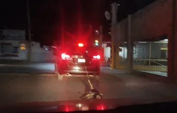 Maltrato animal: proponen cárcel a quien difunda videos o fotografías