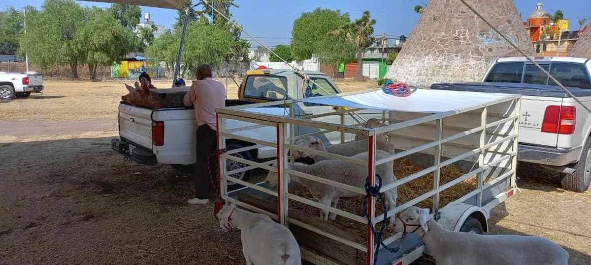 Otorgan asesorías de autosustentabilidad en Tizayuca