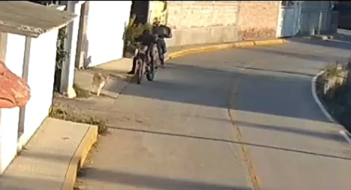 La Jornada Hidalgo