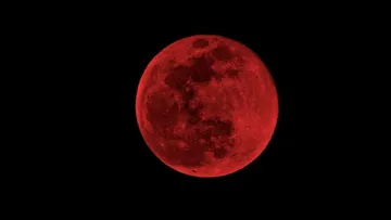 Eclipse lunar total: cuándo y dónde ver este fenómeno astronómico que ocurrirá solo una vez en 2026