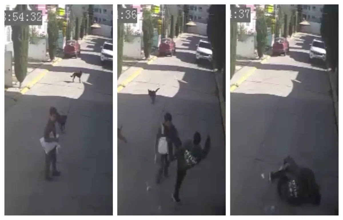 Sujeto irrumpe en privada de Pachuca y noquea a menor de edad con autismo tras altercado por mascotas