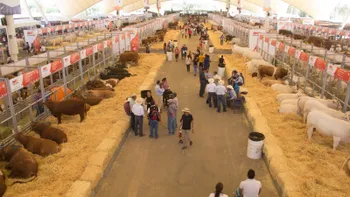 La Ganadera Hidalgo 2026.