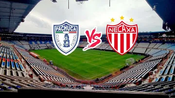 Pachuca vs Necaxa: dónde ver el partido de la jornada 15 del Apertura 2024
