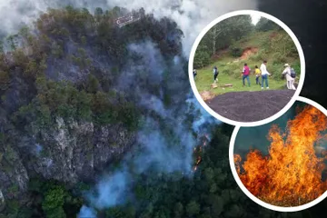 Reforestan Cerro Sagrado en Tenango de Doria dañado en incendios forestales