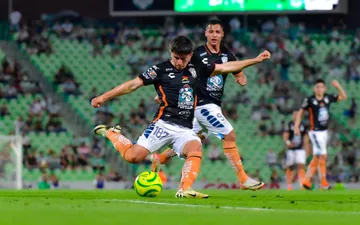 Liga Mx: ¿Qué necesita Pachuca para calificar a la Liguilla?
