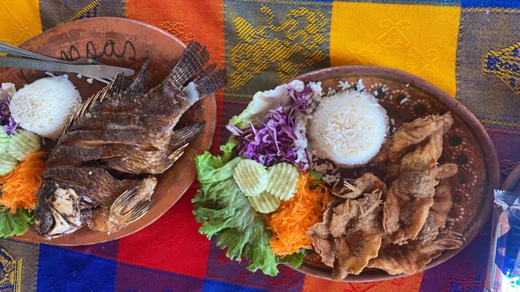 Ancas de rana en Tepeapulco buscan regresar al centro de la mesa