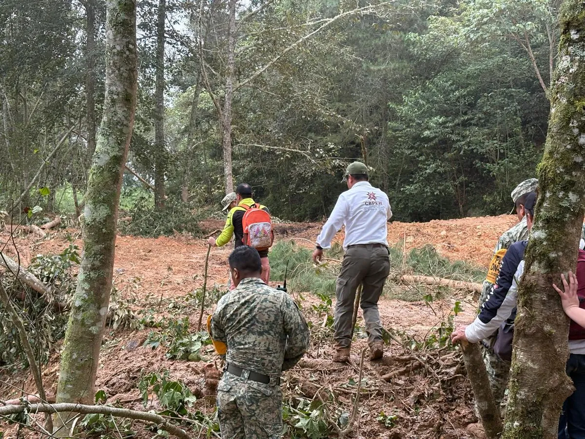 Continúan las labores de localización en Tianguistengo; equipos de rescate y autoridades intensifican los operativos en la zona.