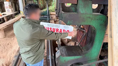 Clausura de aserradero Profepa