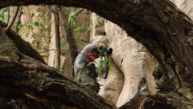Lo que estaba oculto salió a la luz. Descubren vestigios milenarios en plena obra del tren