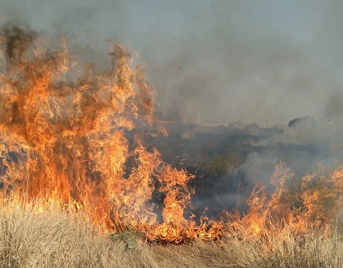 Alarma a Protección Civil de Tizayuca alza en incendios; 22 reportes el último mes