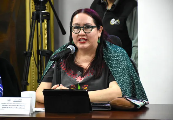 Diputada Tania Meza Escorza