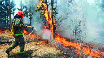 Aumentan casi al doble los incendios forestales en Hidalgo