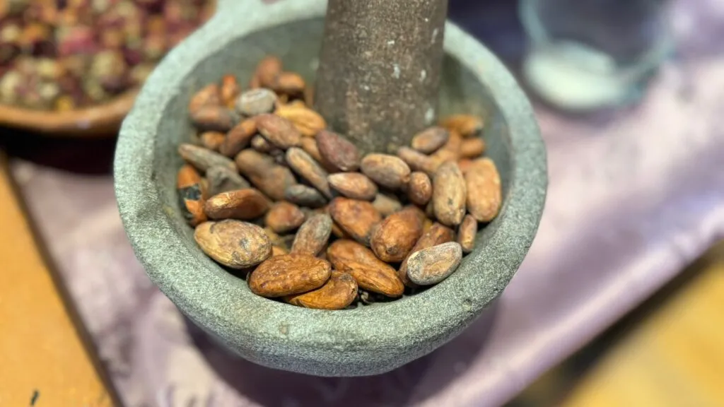 Leonor Rodríguez Gayosso: del campo y la moda, al cacao