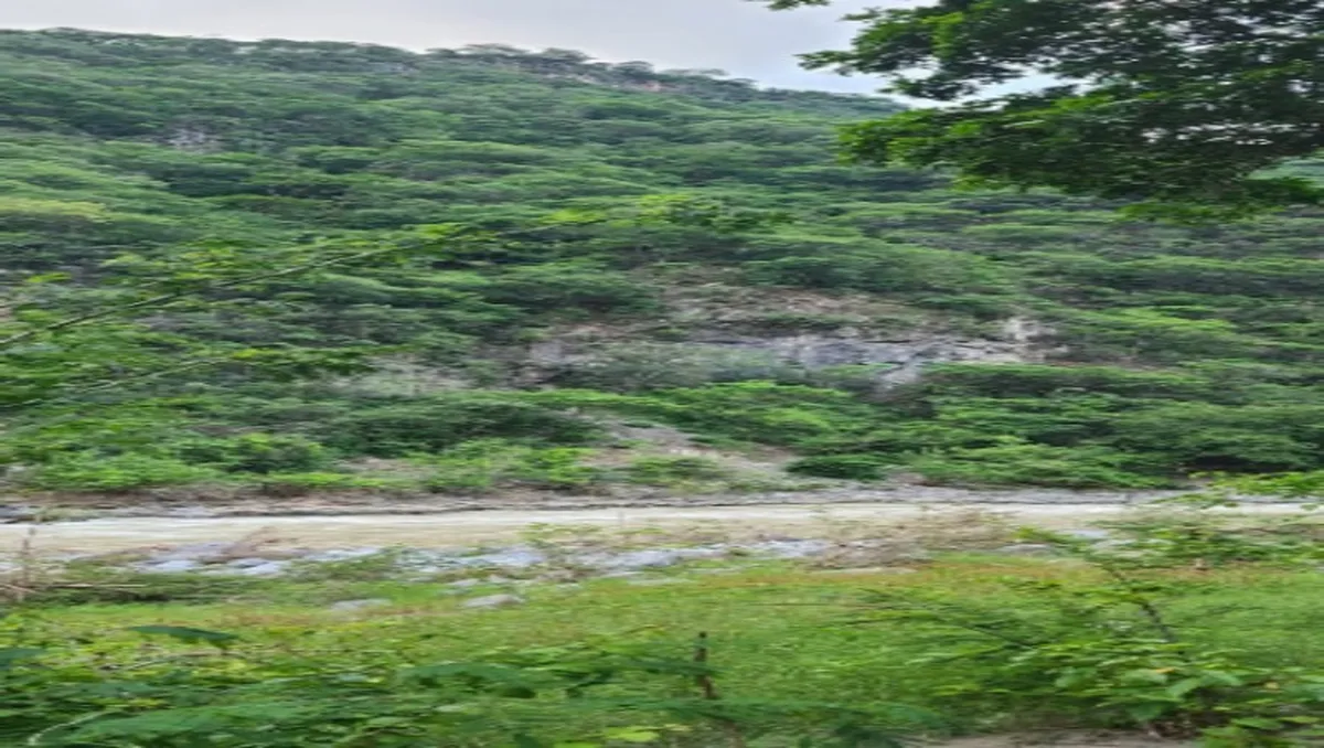 Habitantes de Jacala buscan a menor desaparecido; reportes indican que fue arrastrado por un río