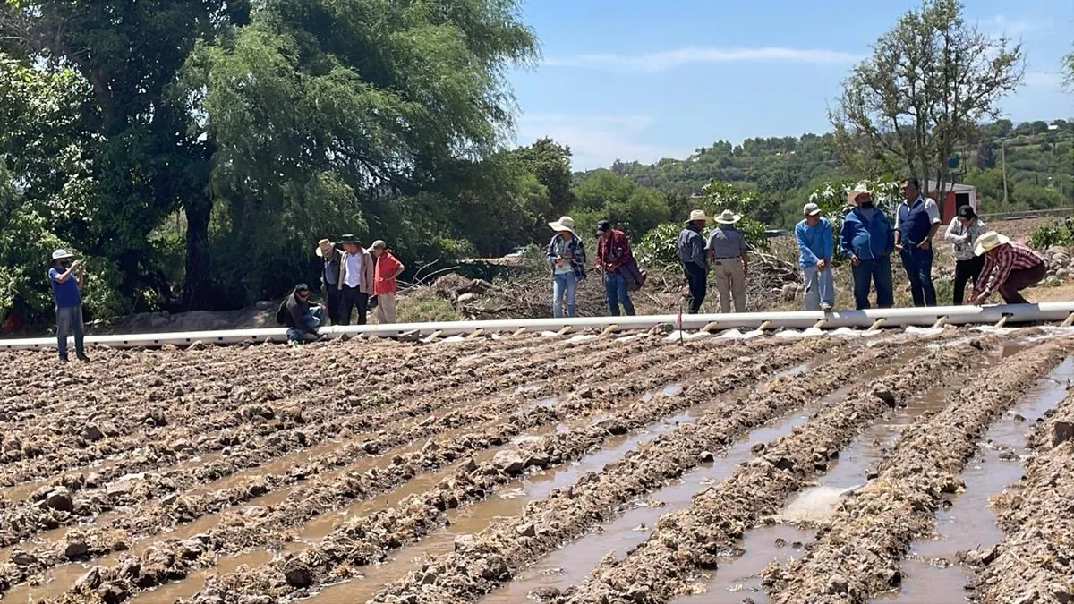 ¡Ahorro de agua! Hidalgo instala parcelas modelo para modernizar el riego en el campo