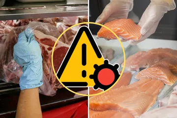 ¡Atención! Operativo revela venta irregular de cárnicos en condiciones insalubres