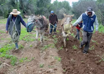 Cuatro de cada cinco personas en pobreza extrema viven en zonas rurales