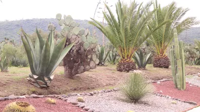 Cerro de Cubitos