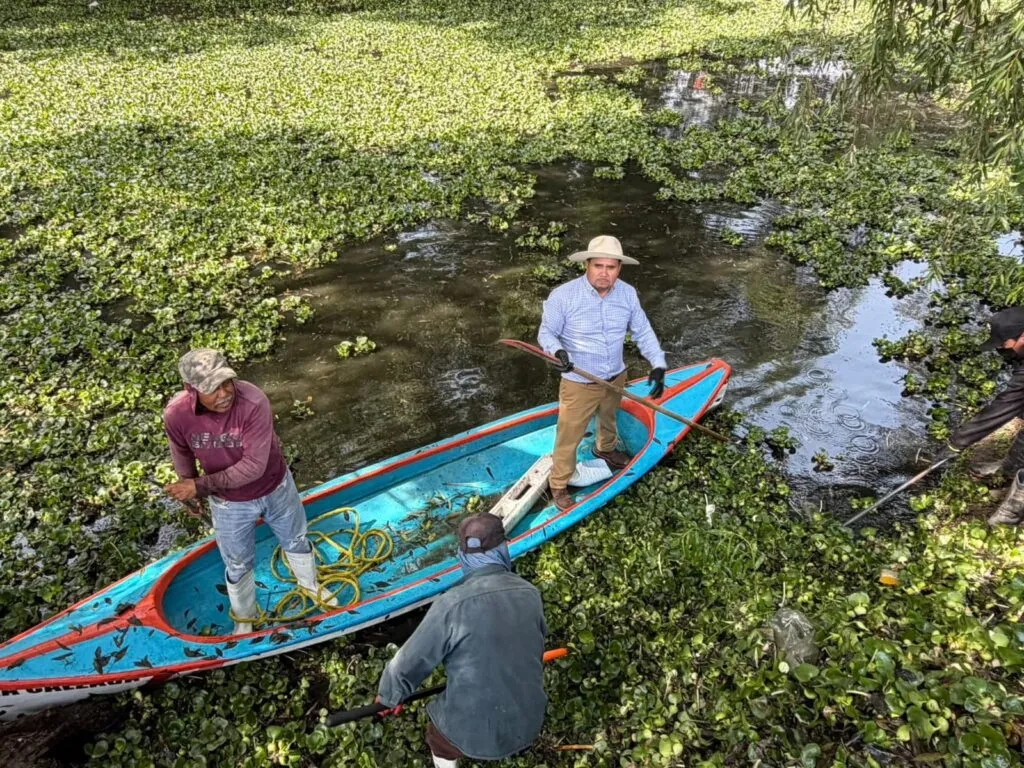 Tepeji busca frenar avance del lirio acuático en río y presa