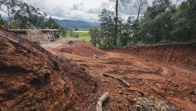 Clausura de Profepa en predio con remoción ilegal de bosque en Singuilucan.