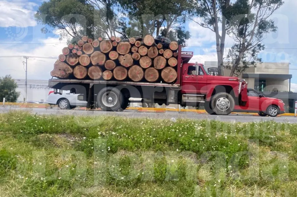 ¡Incendios y plagas golpean a Hidalgo! Más de 25 mil hectáreas fueron afectadas