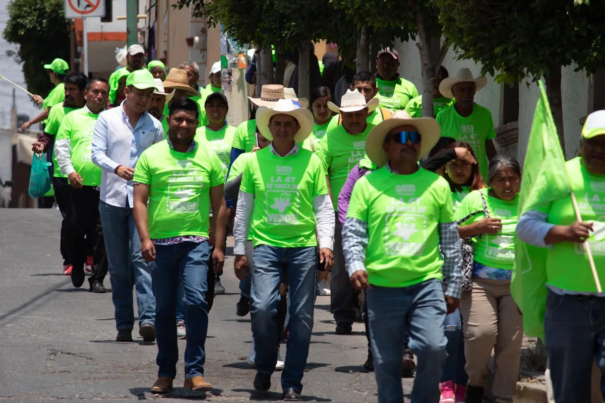 Pide Tribunal a IEEH volver a analizar registros del Partido Verde en 52 municipios