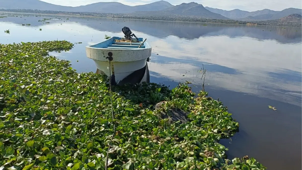 Presa Endhó, Hidalgo.