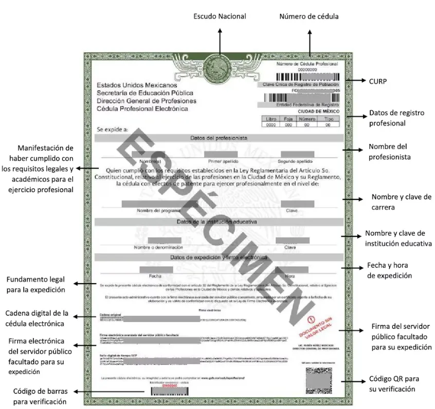 PASO A PASO | Cómo obtener la Constancia de Situación Profesional en línea