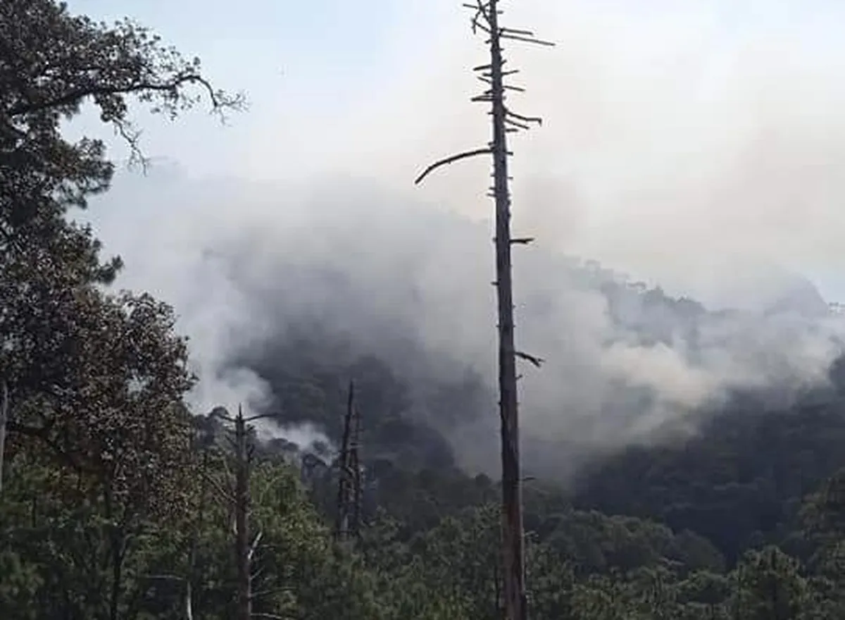 En un día hasta cinco incendios se registraron en Hidalgo