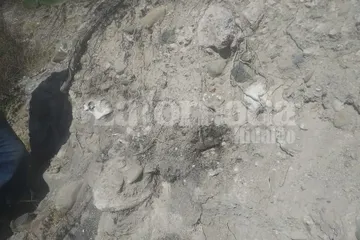 TETEPANGO