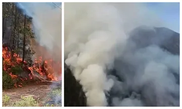 Controlan incendio en Nicolás Flores; afectó más de 180 hectáreas