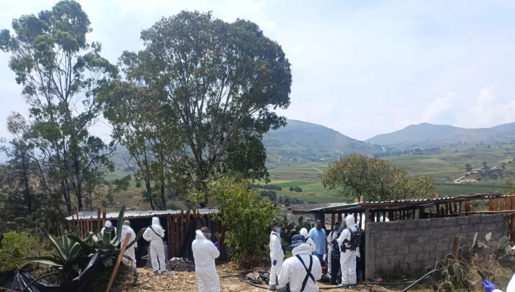 Operativos de seguridad aseguran hidrocarburos, armas y drogas en 14 estados