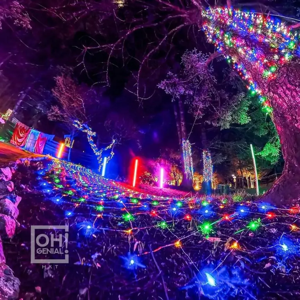 Bosque Iluminado 2025: fechas, costos y novedades del recorrido renovado