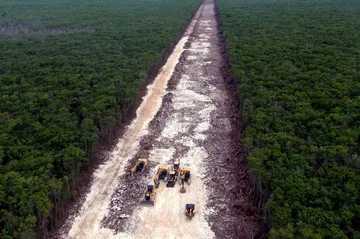 Tren Maya generará desarrollo sin desproteger medio ambiente: AMLO
