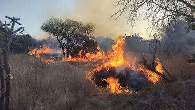 Incendio en Zona Arqueológica de Tula