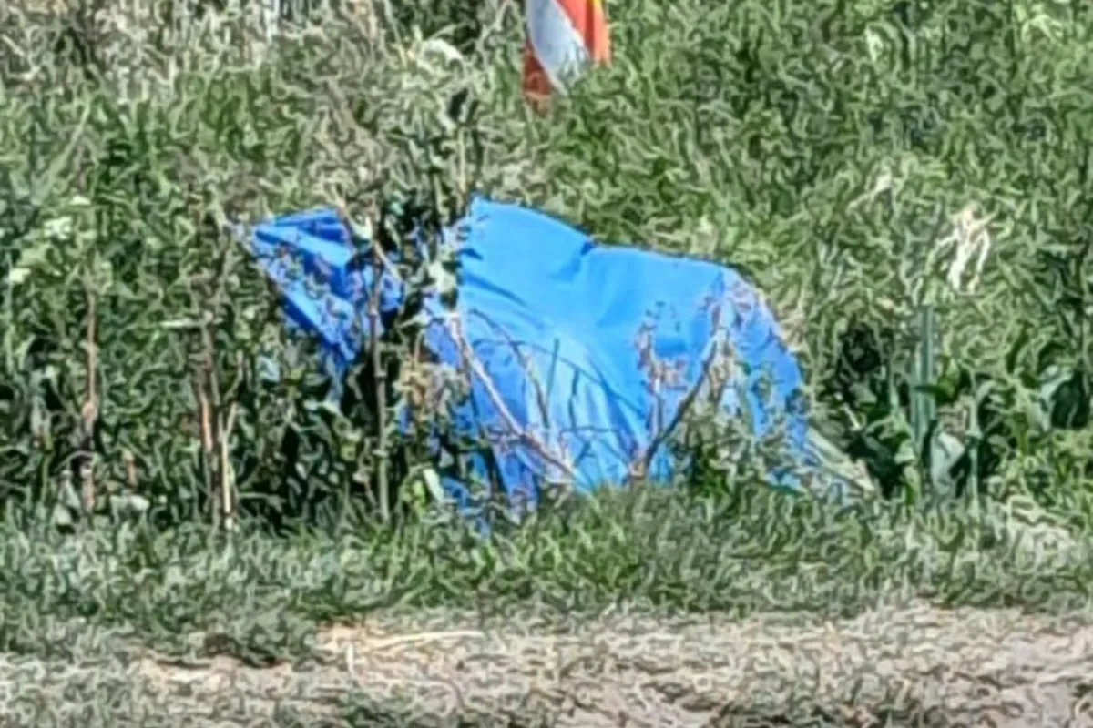 Hallan cuerpo embolsado y con huellas de violencia