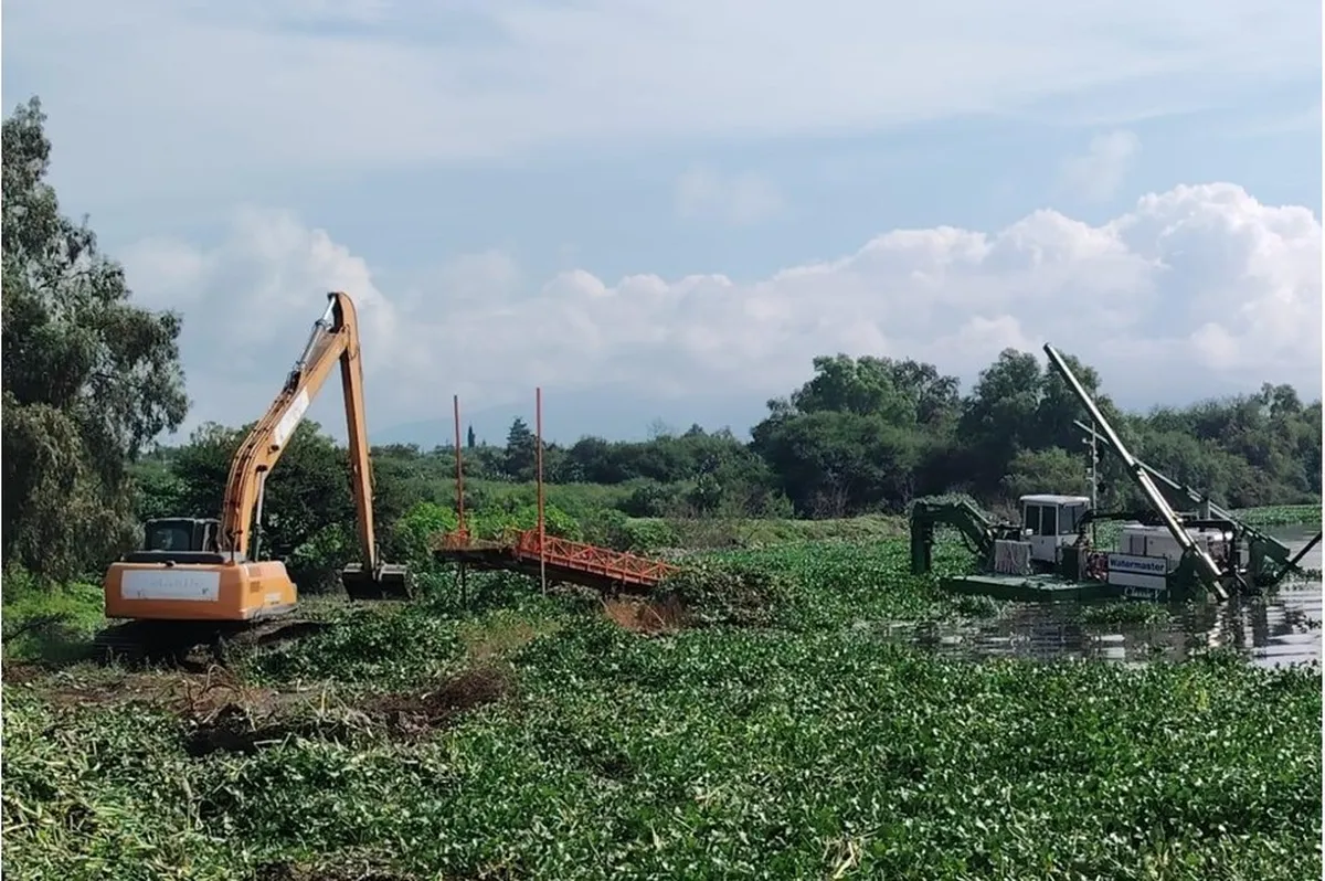 Crecimiento del lirio acuático en presa Endhó preocupa a autoridades ambientales