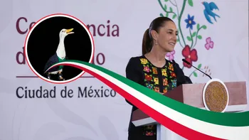 El pato Merlín ganó fama nacional tras aparecer con la camiseta de México durante los festejos del Mundial 2026.