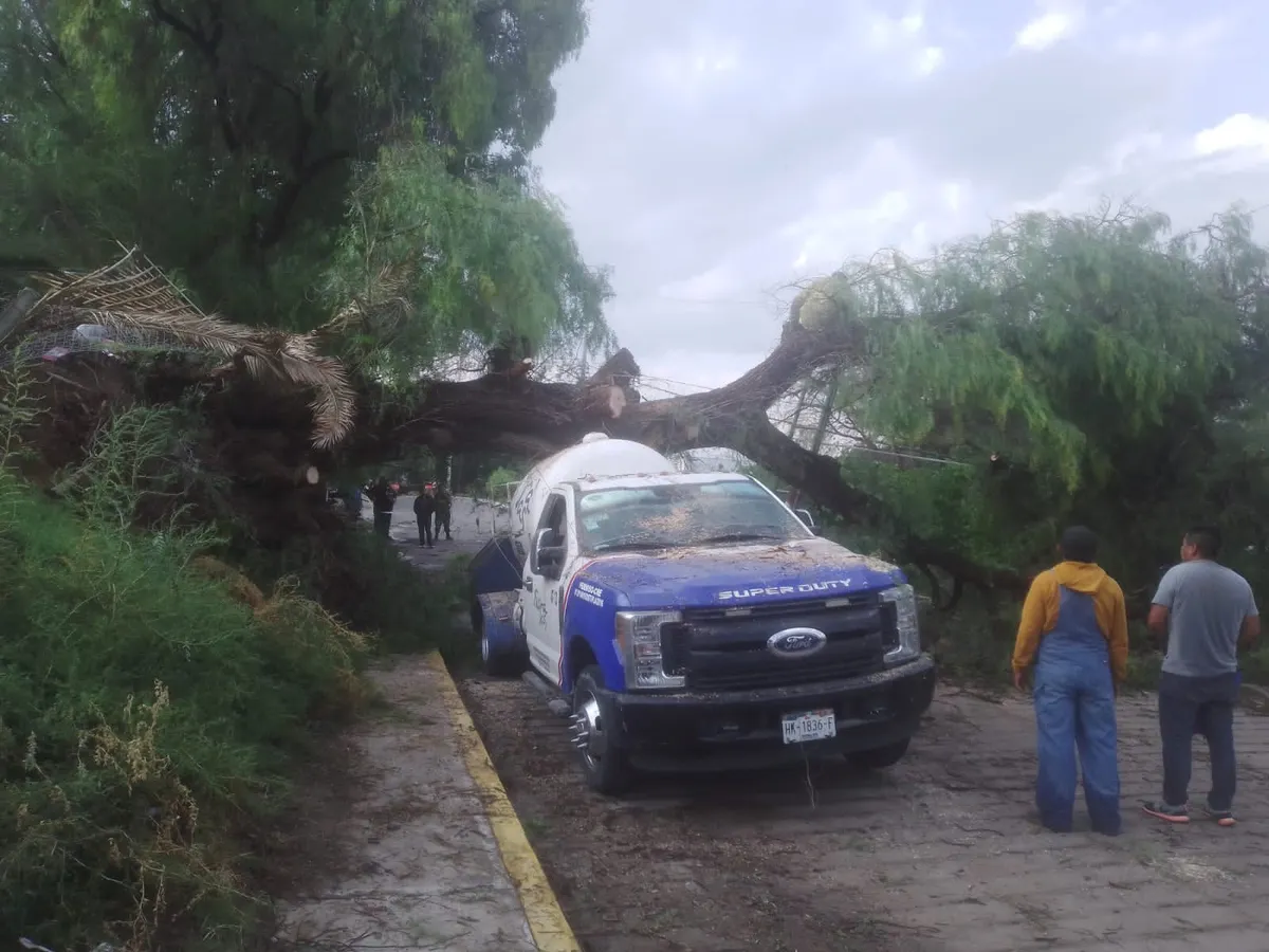 Lluvia en Ixmiquilpan: Dos lesionados por caída de árboles y techos