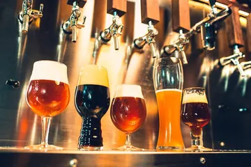 Hidalgo Beer Fest 2025: fecha, sede y qué esperar de esta edición