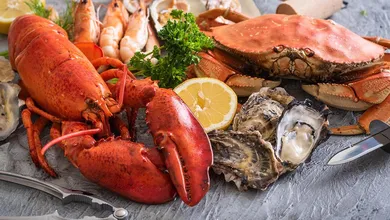 Mariscos frescos sí, pero con precaución: conoce cómo prevenir intoxicaciones peligrosas.