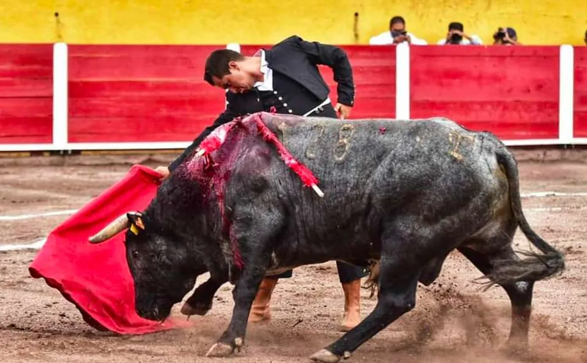 Luis Gallardo cerca de cortar oreja en Aguascalientes