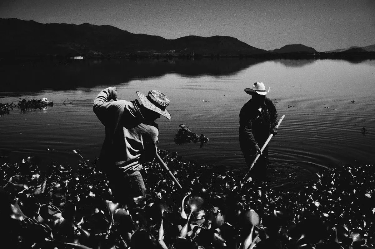 Expondrán fotografías sobre afectaciones en presa Endhó